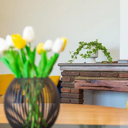 Casa Terrazza Sul Porto Apartamento